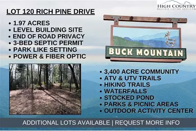 Lot 120 Rich Pine Drive, Purlear, NC 28665 - Photo 1