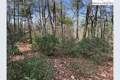 Lot 120 Rich Pine Drive, Purlear, NC 28665 - Photo 9