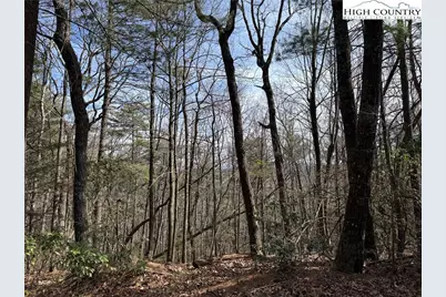 Lot 120 Rich Pine Drive, Purlear, NC 28665 - Photo 15