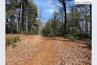 Lot 120 Rich Pine Drive, Purlear, NC 28665 - Photo 5