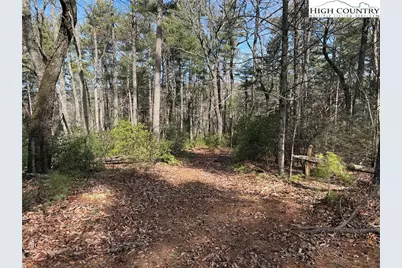 Lot 120 Rich Pine Drive, Purlear, NC 28665 - Photo 7