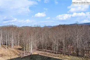 171 Pleasant View Dr, Vilas, NC 28692 - Photo 17