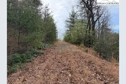 Lots 207 & 220 Maple Valley Lane, Purlear, NC 28665 - Photo 17