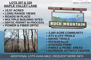 Lots 207 & 220 Maple Valley Ln, Purlear, NC 28665 - Photo 1