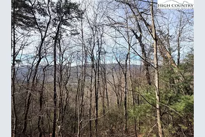Lots 207 & 220 Maple Valley Lane, Purlear, NC 28665 - Photo 3