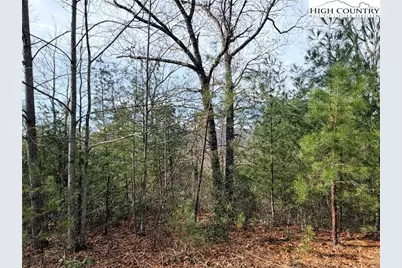 Lots 207 & 220 Maple Valley Lane, Purlear, NC 28665 - Photo 19