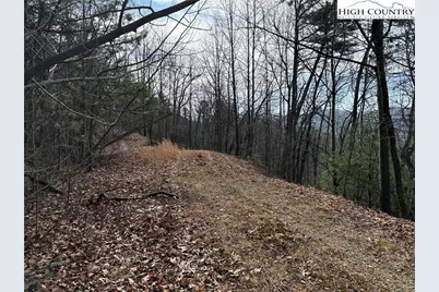 Lots 207 & 220 Maple Valley Lane, Purlear, NC 28665 - Photo 7