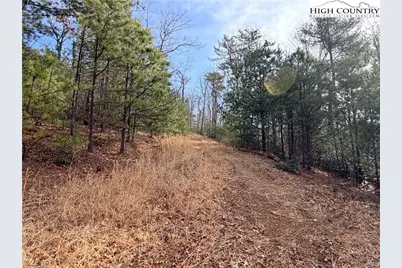 Lots 207 & 220 Maple Valley Lane, Purlear, NC 28665 - Photo 15