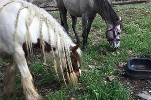 873 Silverleaf Rd, Zionville, NC 28698 - Photo 39