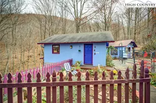 873 Silverleaf Rd, Zionville, NC 28698 - Photo 3