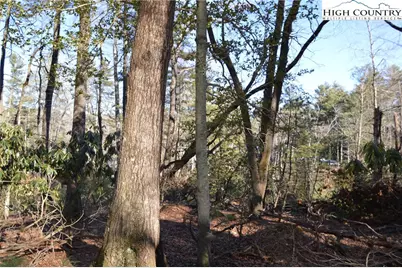 Tbd Greenhouse Road, Roaring Gap, NC 28668 - Photo 13