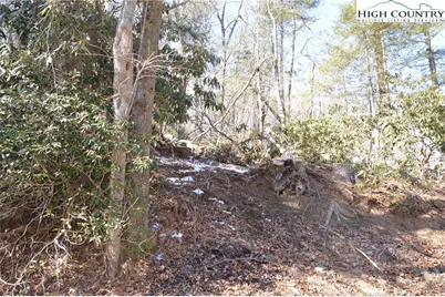 Tbd Greenhouse Road, Roaring Gap, NC 28668 - Photo 3