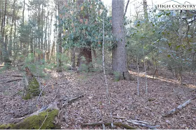Tbd Greenhouse Road, Roaring Gap, NC 28668 - Photo 15