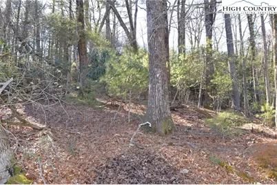 Tbd Greenhouse Road, Roaring Gap, NC 28668 - Photo 9