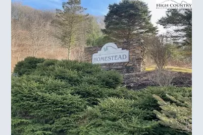 387 New Homestead Drive, Vilas, NC 28692 - Photo 49