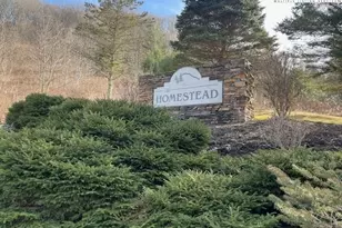 387 New Homestead Dr, Vilas, NC 28692 - Photo 49