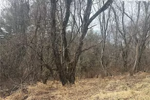 Tbd 5-K River Run Ln, Sparta, NC 28675 - Photo 1