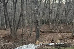 Tbd 3-D Silo Rd, Sparta, NC 28675 - Photo 1