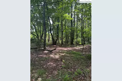 Tbd Fairfield Drive, Sparta, NC 28675 - Photo 5