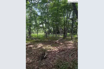 Tbd Fairfield Drive, Sparta, NC 28675 - Photo 3