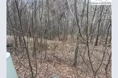 Tbd Larkspur Trail, Banner Elk, NC 28604 - Photo 7