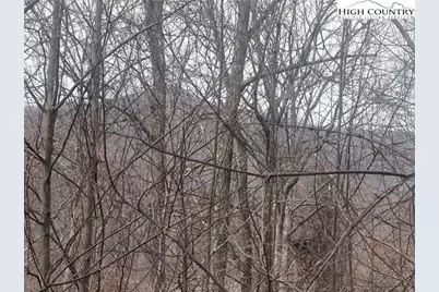 Tbd Larkspur Trail, Banner Elk, NC 28604 - Photo 15