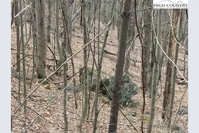 Tbd Larkspur Trail, Banner Elk, NC 28604 - Photo 9