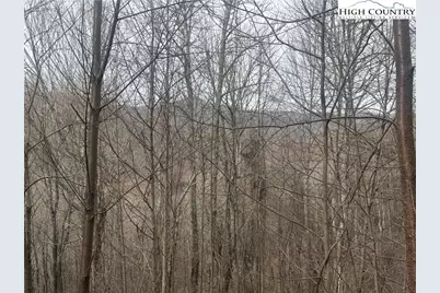Tbd Larkspur Trail, Banner Elk, NC 28604 - Photo 17