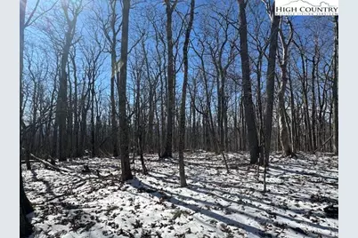 Tbd Lot 88 Relaxation Point, Todd, NC 28684 - Photo 3