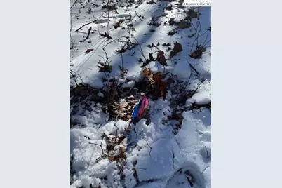 Tbd Lot 88 Relaxation Point, Todd, NC 28684 - Photo 15