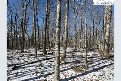 Tbd Lot 88 Relaxation Point, Todd, NC 28684 - Photo 5