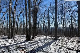 Tbd Lot 88 Relaxation Point, Todd, NC 28684 - Photo 1