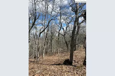 Tbd Fire Tower Road Road, Boone, NC 28607 - Photo 3