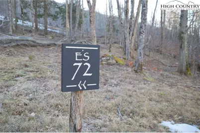 Es-72 Twisted Oak Path, Beech Mountain, NC 28604 - Photo 9