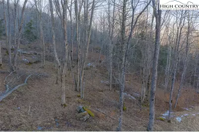 Es-72 Twisted Oak Path, Beech Mountain, NC 28604 - Photo 13