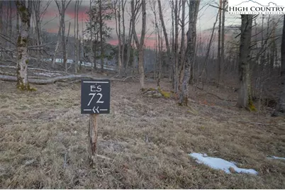 Es-72 Twisted Oak Path, Beech Mountain, NC 28604 - Photo 5