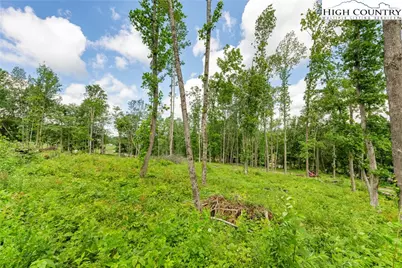 342 Up The River Drive, Creston, NC 28615 - Photo 7