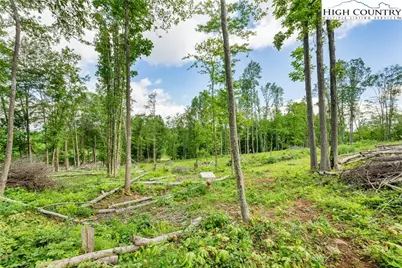 342 Up The River Drive, Creston, NC 28615 - Photo 15