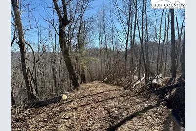 Lot 9 Vilas Overlook Drive, Vilas, NC 28692 - Photo 3