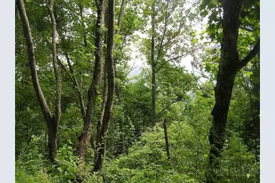 Lot 9 Vilas Overlook Drive, Vilas, NC 28692 - Photo 11