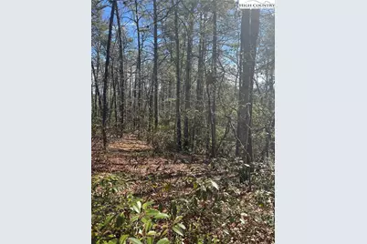 Lot 99 Nightshade Road, Boone, NC 28607 - Photo 5