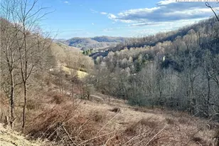 Tbd Willard Johnson Rd, Vilas, NC 28692 - Photo 1