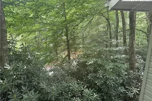 61 River Loop, Newland, NC 28657 - Photo 37