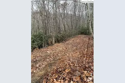 Tbd (35.93 Acres) Parson Hill Road, Lansing, NC 28643 - Photo 23