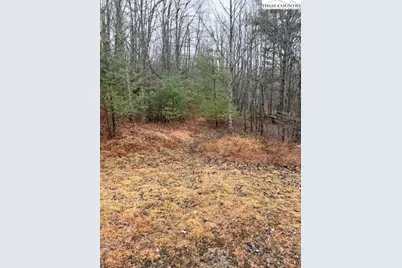 Tbd (35.93 Acres) Parson Hill Road, Lansing, NC 28643 - Photo 11