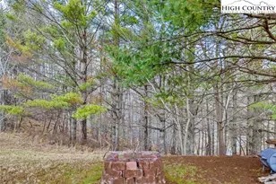 681 Rachel Way, Piney Creek, NC 28663 - Photo 7