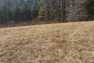 Tbd 3L Memorial Park Dr, Sparta, NC 28675 - Photo 1