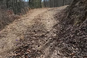 733 Clark Swift Rd, Vilas, NC 28692 - Photo 15