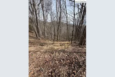 733 Clark Swift Road, Vilas, NC 28692 - Photo 19