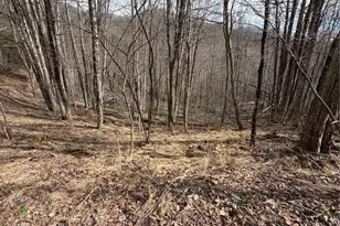 733 Clark Swift Rd, Vilas, NC 28692 - Photo 19